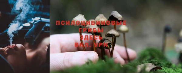 бутират Арсеньев