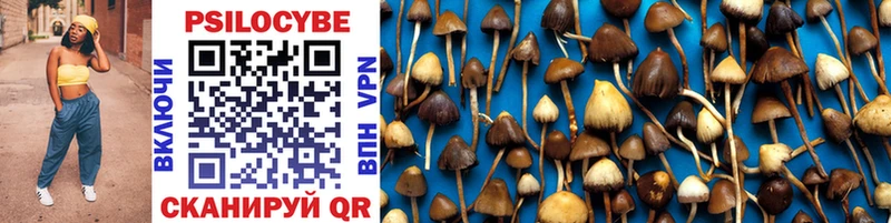 купить  цена  Углич  Галлюциногенные грибы MAGIC MUSHROOMS 